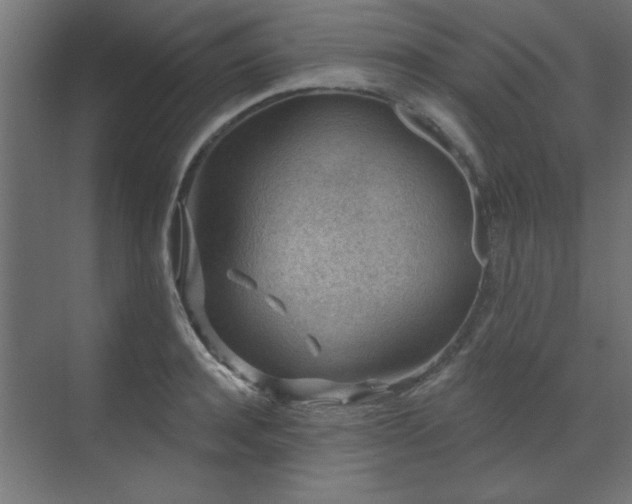 X0000071800944200606301157