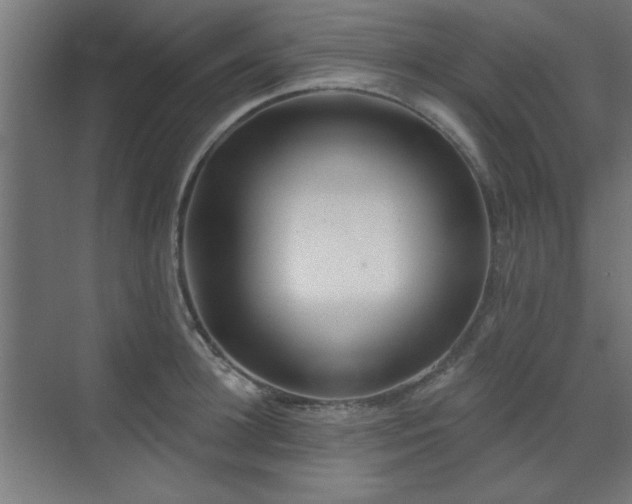 X0000071800948200606301157