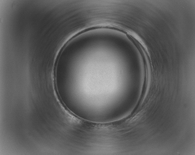 X0000071800951200606301157