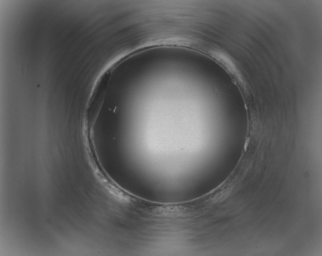 X0000071800952200606301157