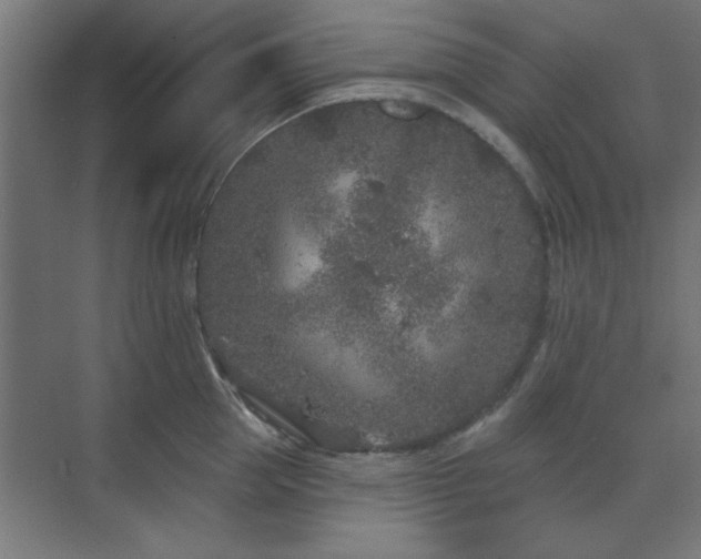 X0000071800953200606301157