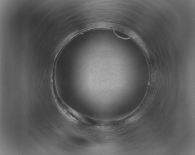 X0000071800954200606301157