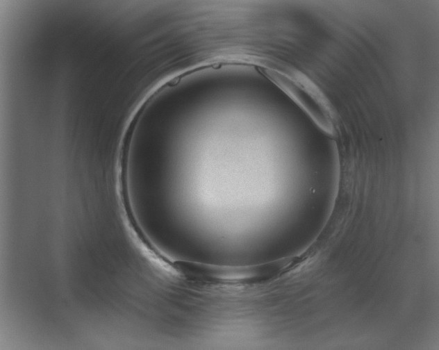 X0000071800955200606301158