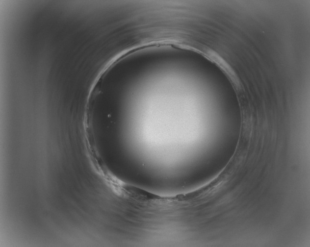 X0000071800956200606301158