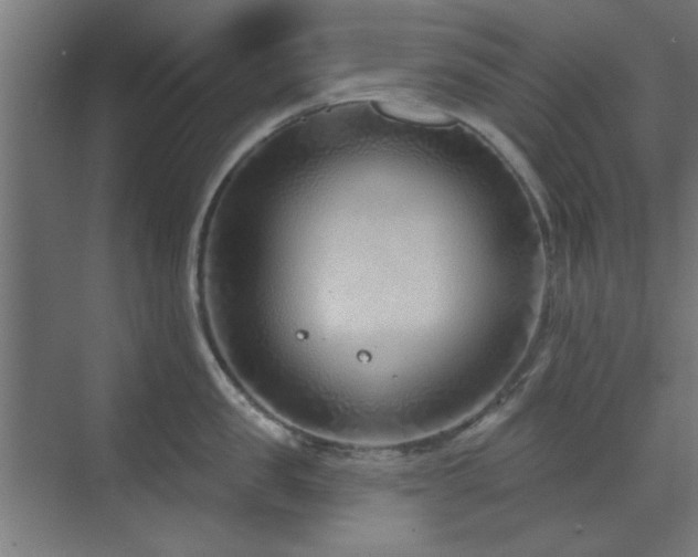 X0000071800957200606301158