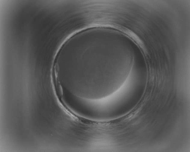 X0000071800958200606301158