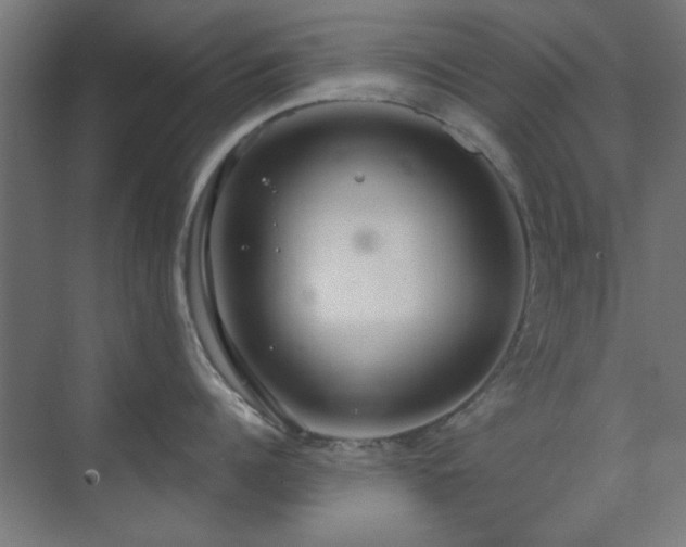 X0000071800960200606301158