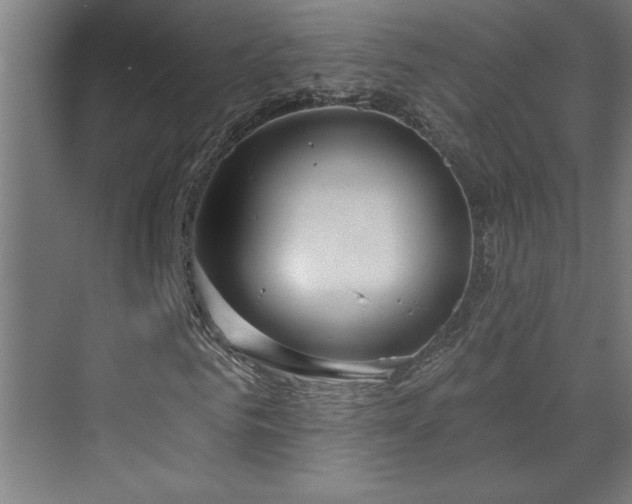 X0000071800961200606301157