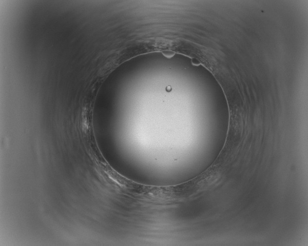 X0000071800962200606301157