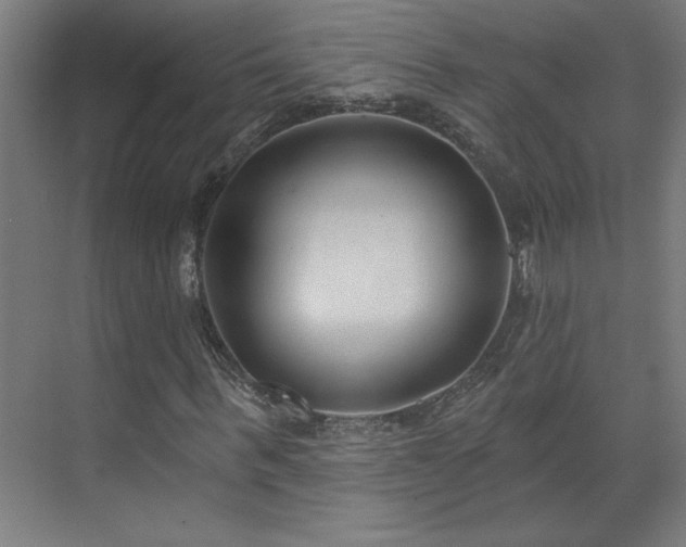 X0000071800963200606301157