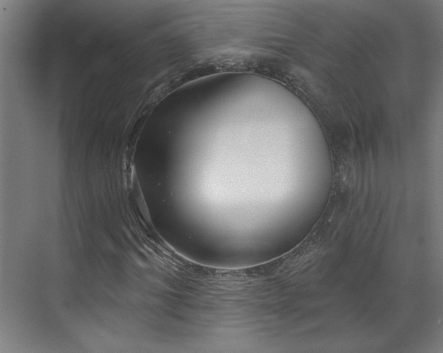 X0000071800964200606301157