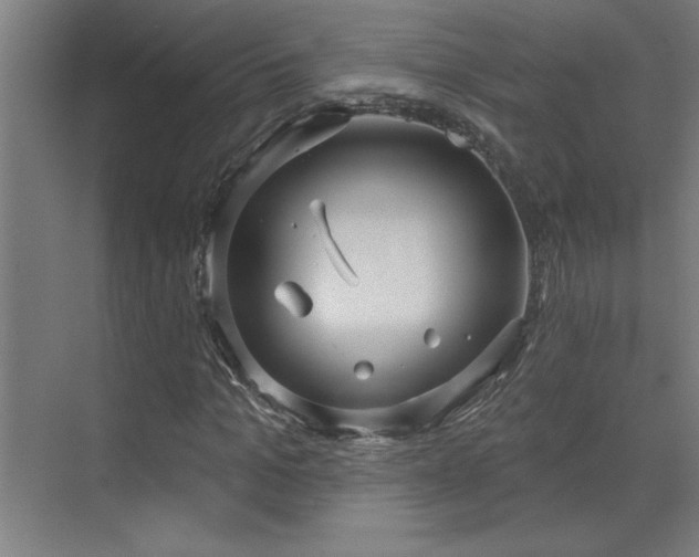 X0000071800965200606301157