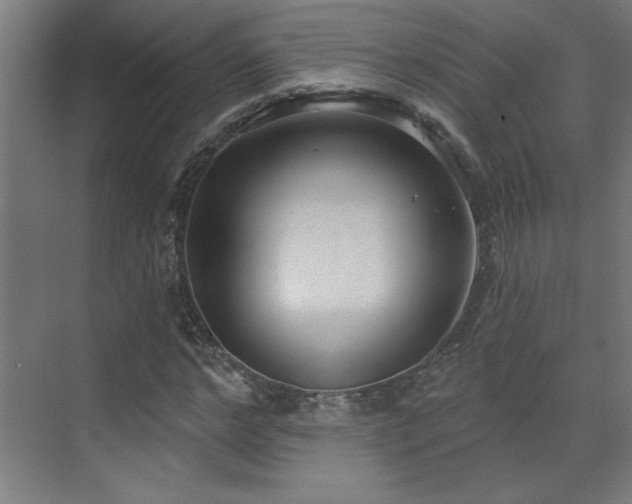 X0000071800968200606301157