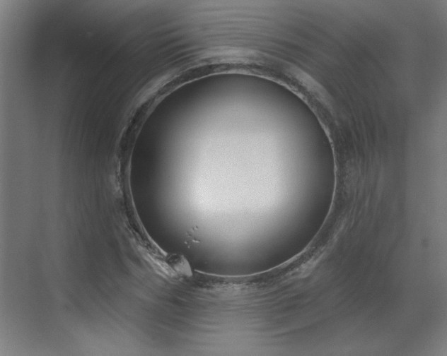 X0000071800970200606301157