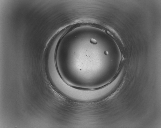 X0000071800973200606301157