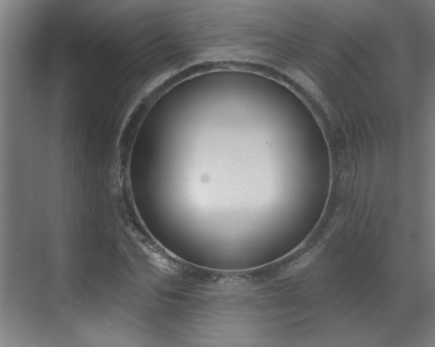 X0000071800974200606301157