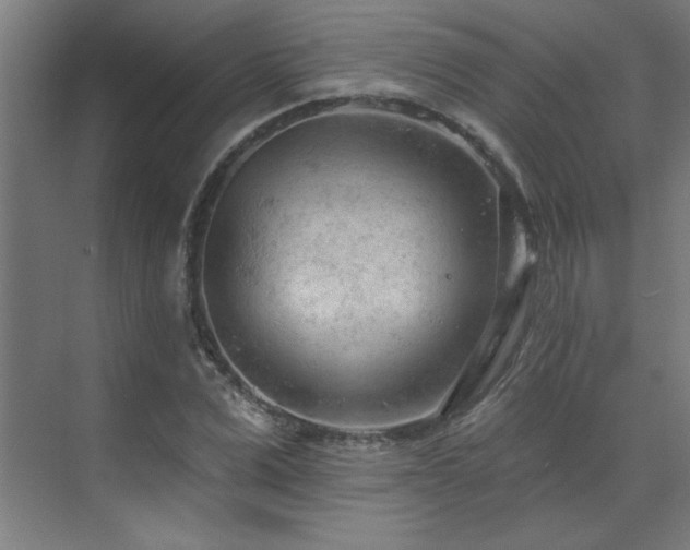 X0000071800975200606301157