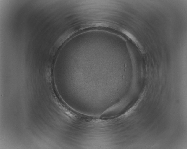 X0000071800977200606301157