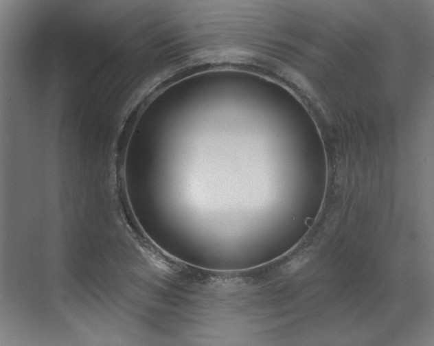 X0000071800978200606301156