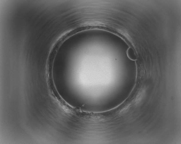 X0000071800979200606301156