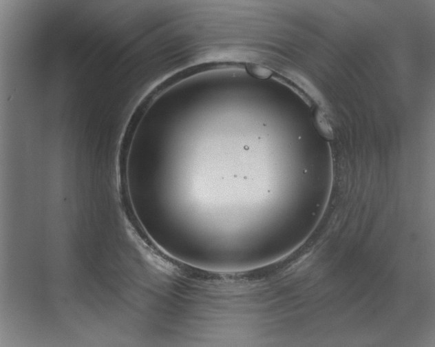 X0000071800980200606301156