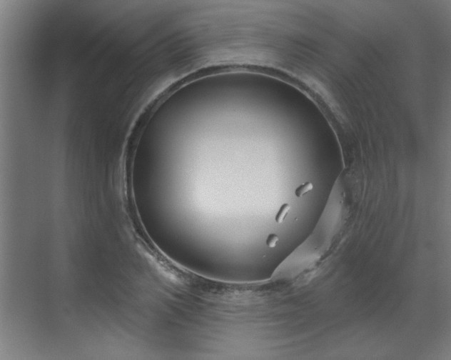 X0000071800982200606301156