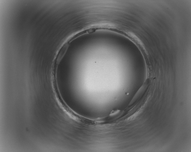 X0000071800989200606301156