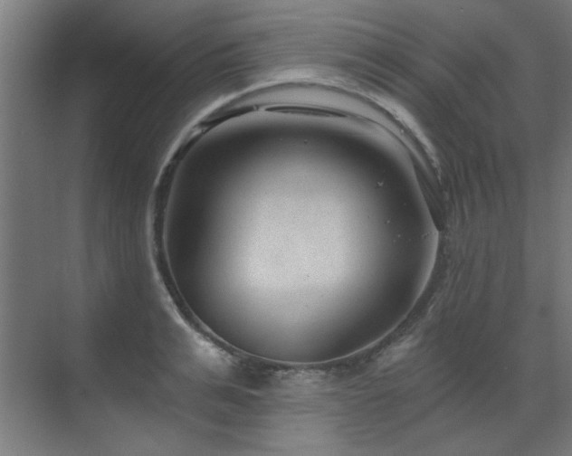 X0000071800991200606301156