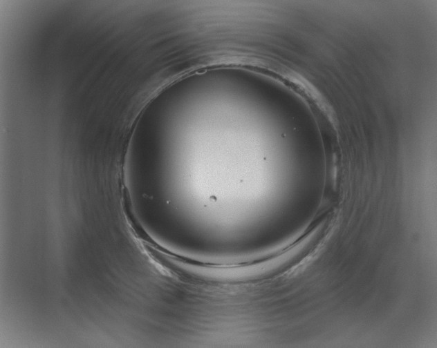 X0000071800993200606301156