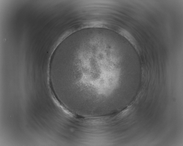 X0000071800994200606301156