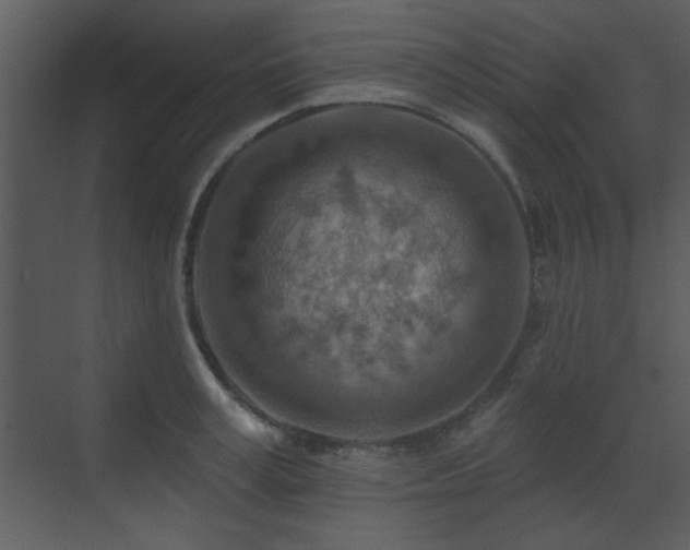 X0000071800995200606301156