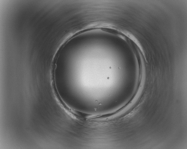 X0000071800997200606301156