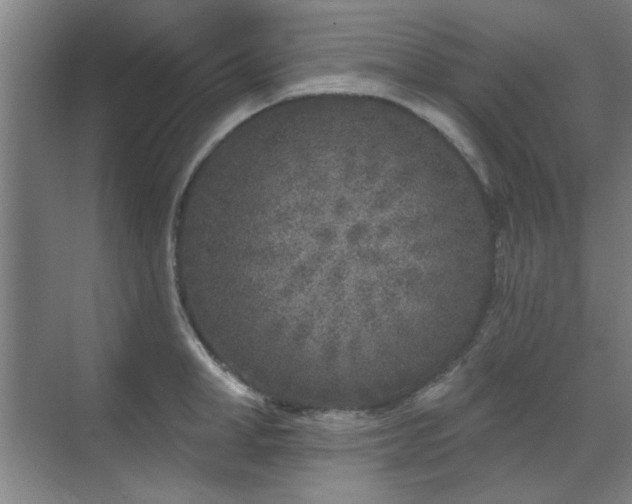 X0000071800998200606301156