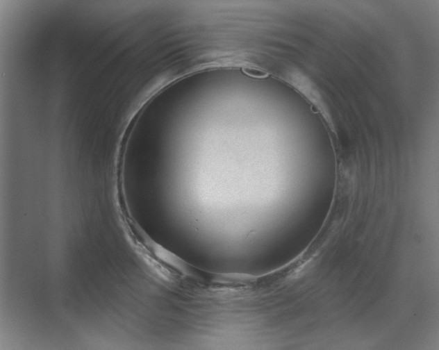 X0000071801002200606301156