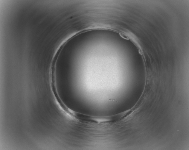 X0000071801003200606301156