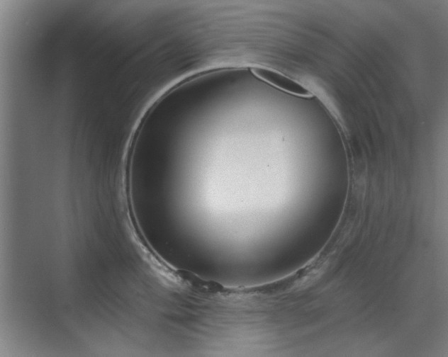 X0000071801004200606301156