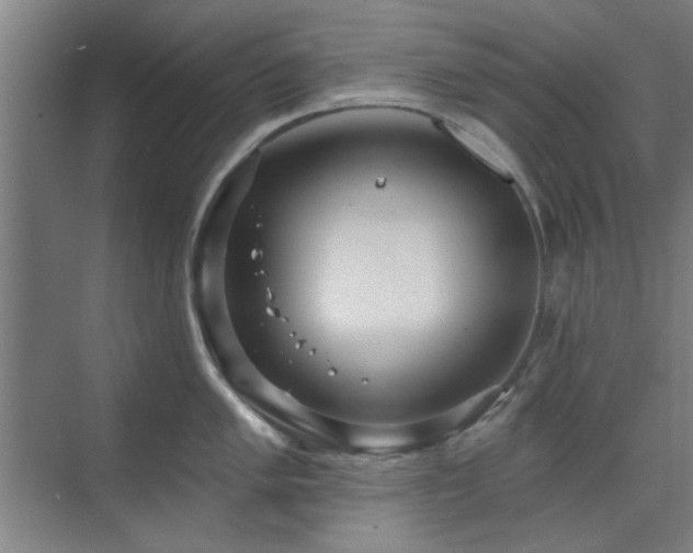 X0000071801005200606301156