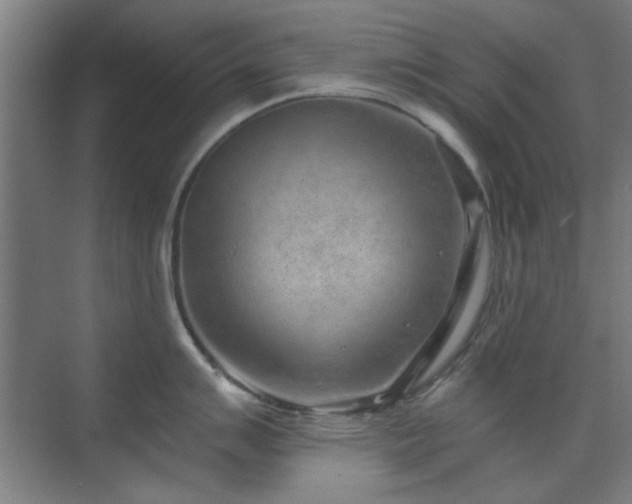 X0000071801007200606301156