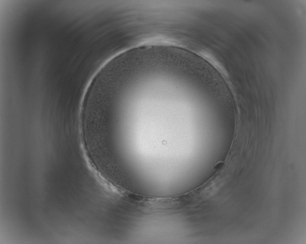 X0000071801008200606301156