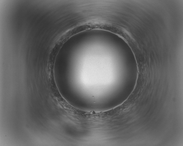 X0000071801016200606301155