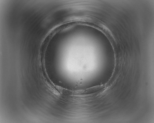 X0000071801019200606301155