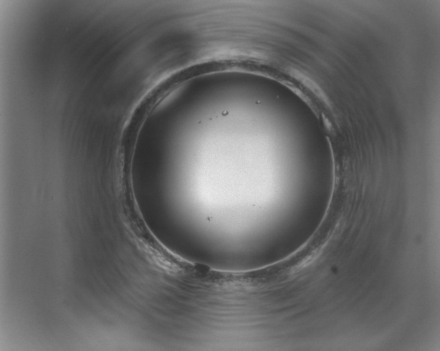 X0000071801021200606301155