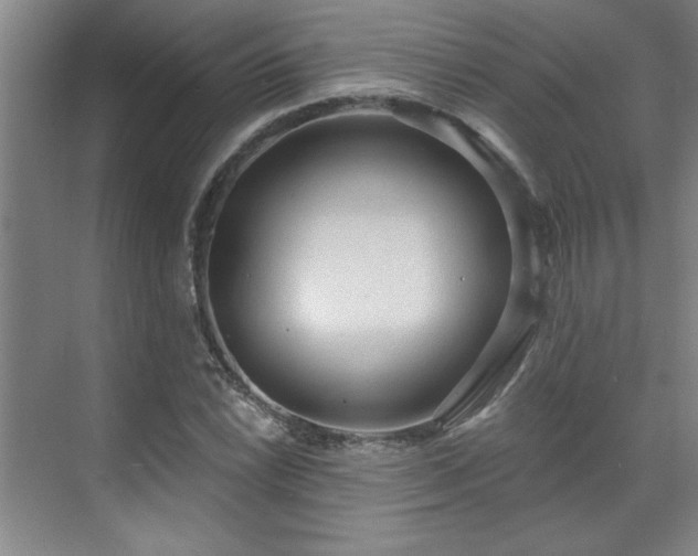 X0000071801022200606301155