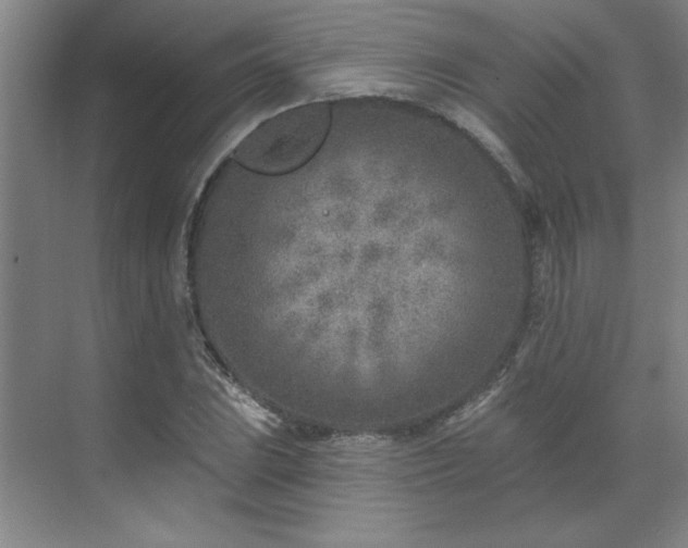 X0000071801023200606301155