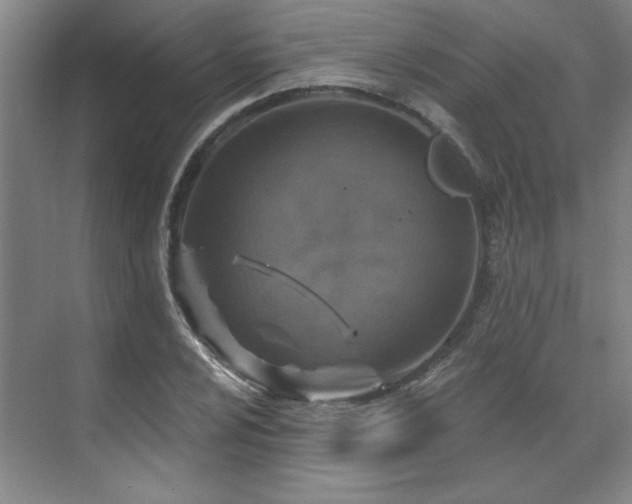 X0000071801024200606301155