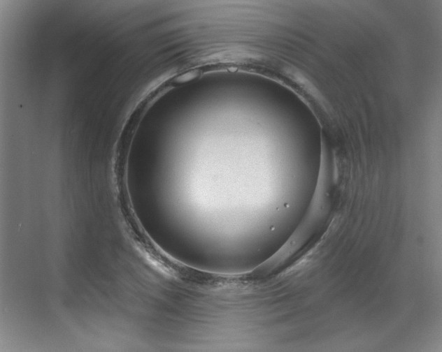 X0000071801026200606301155