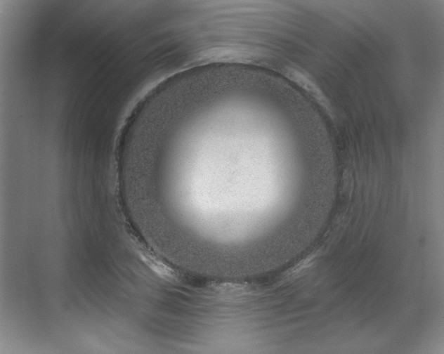 X0000071801027200606301155