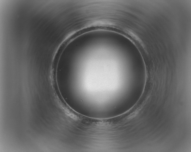 X0000071801029200606301156