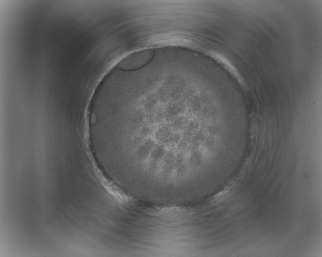 X0000071801031200606301156