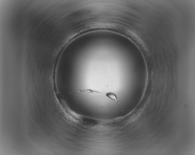 X0000071801033200606301156